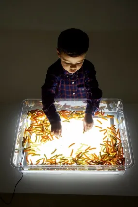 A3 Light Panel and Tray