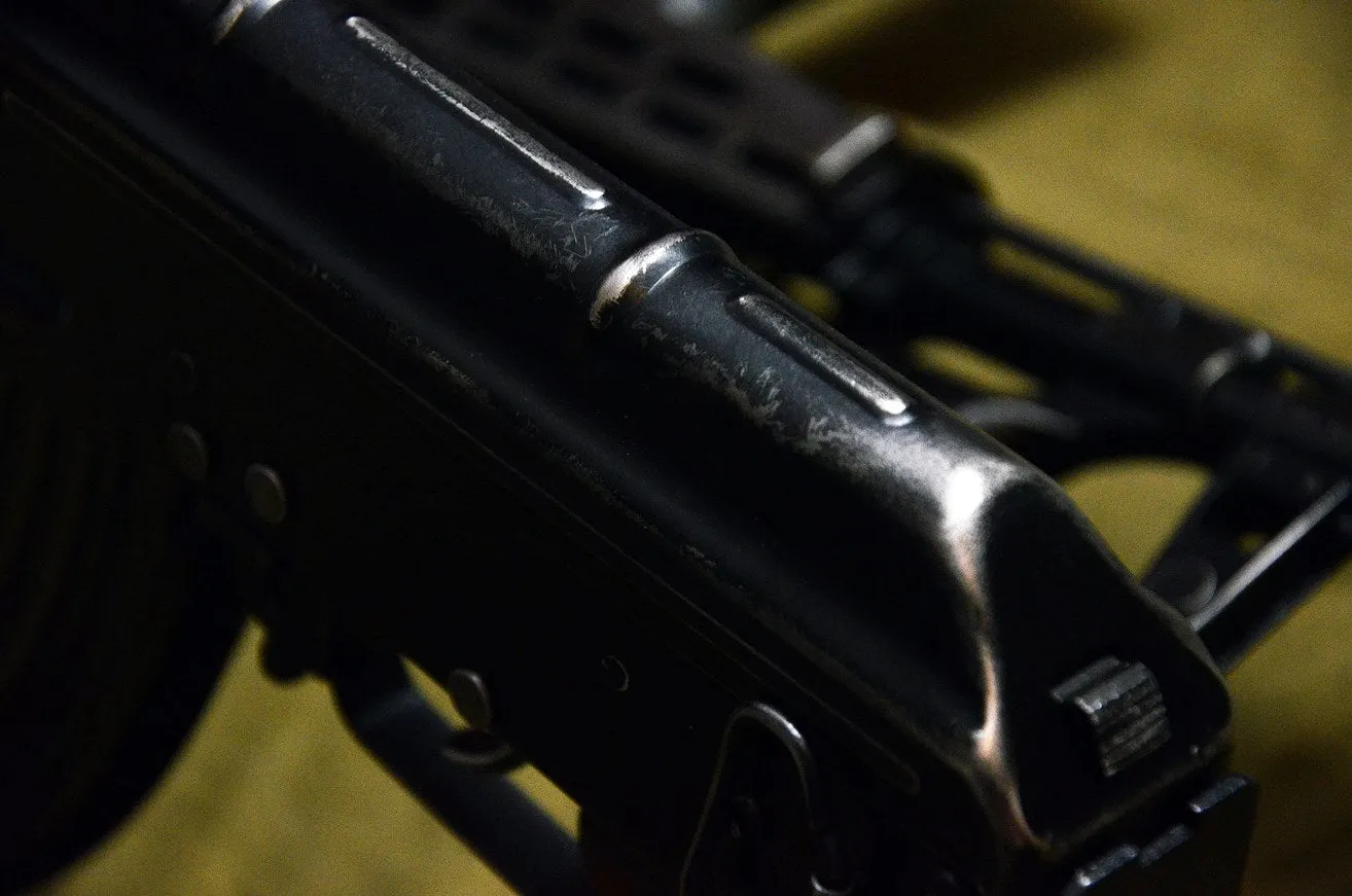 Bunny Custom - AMD65 GBB Rifle (Vintage version)