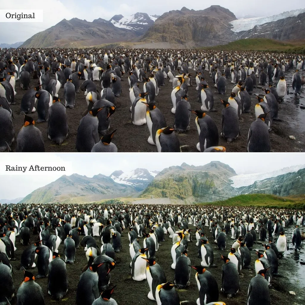 Cinematic Film LUTS – Desktop & Mobile