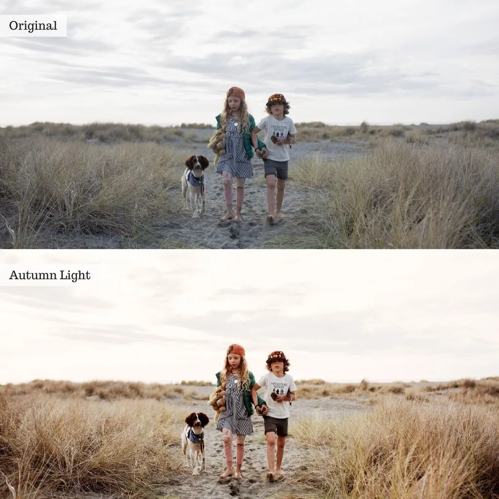 Earthstone Film LUTS – Desktop & Mobile