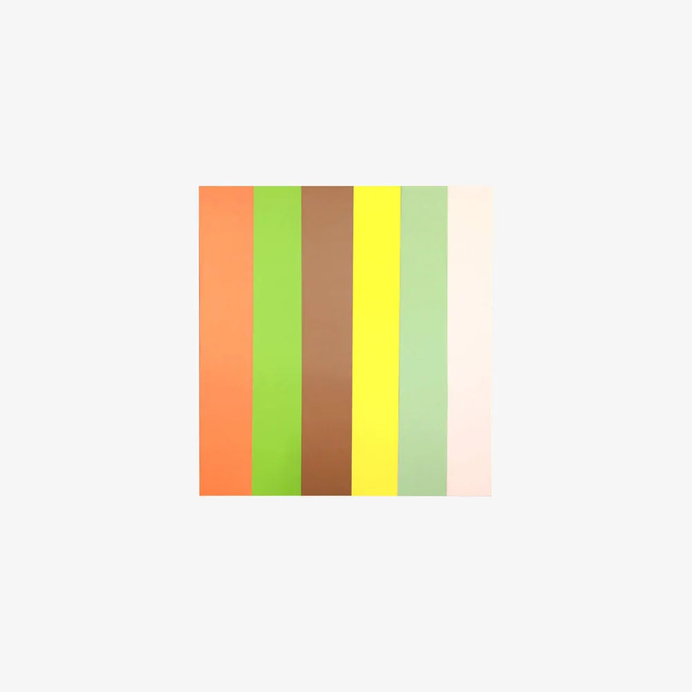 Foldio3 Coloured Flat Lay Backdrop Set (Set B) - 45.9" x 23"