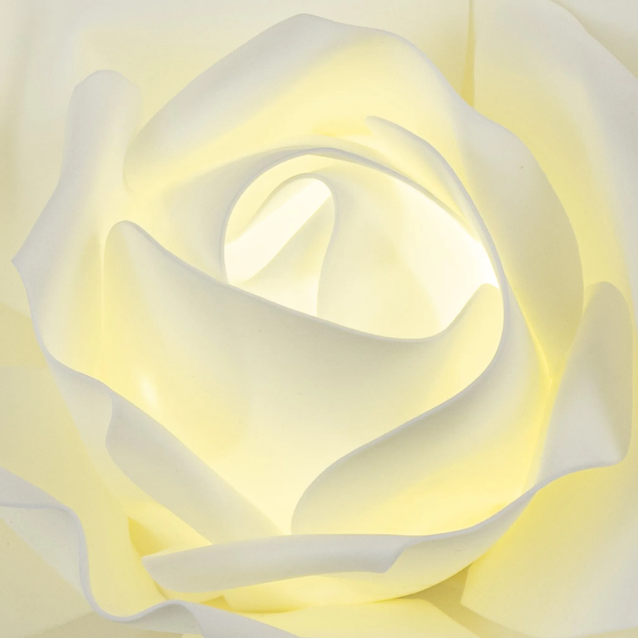 LED Lighted Large Foam Rose Wall  Decor 30 cm - Ivory