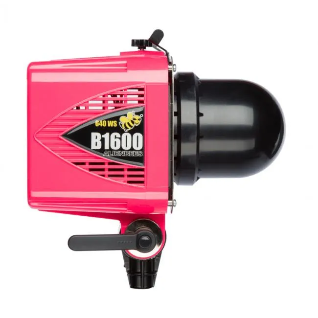 PAUL C. BUFF Alein Bees B1600 Flash Unit