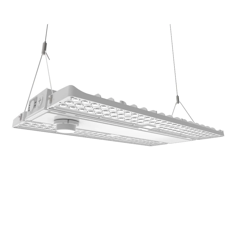 PAVO IV LED High Bay Light - 310W/270W/240W -5000K/4000K - up to 46,000 lumens - 120-277V - 1000W Metal Halide Equal