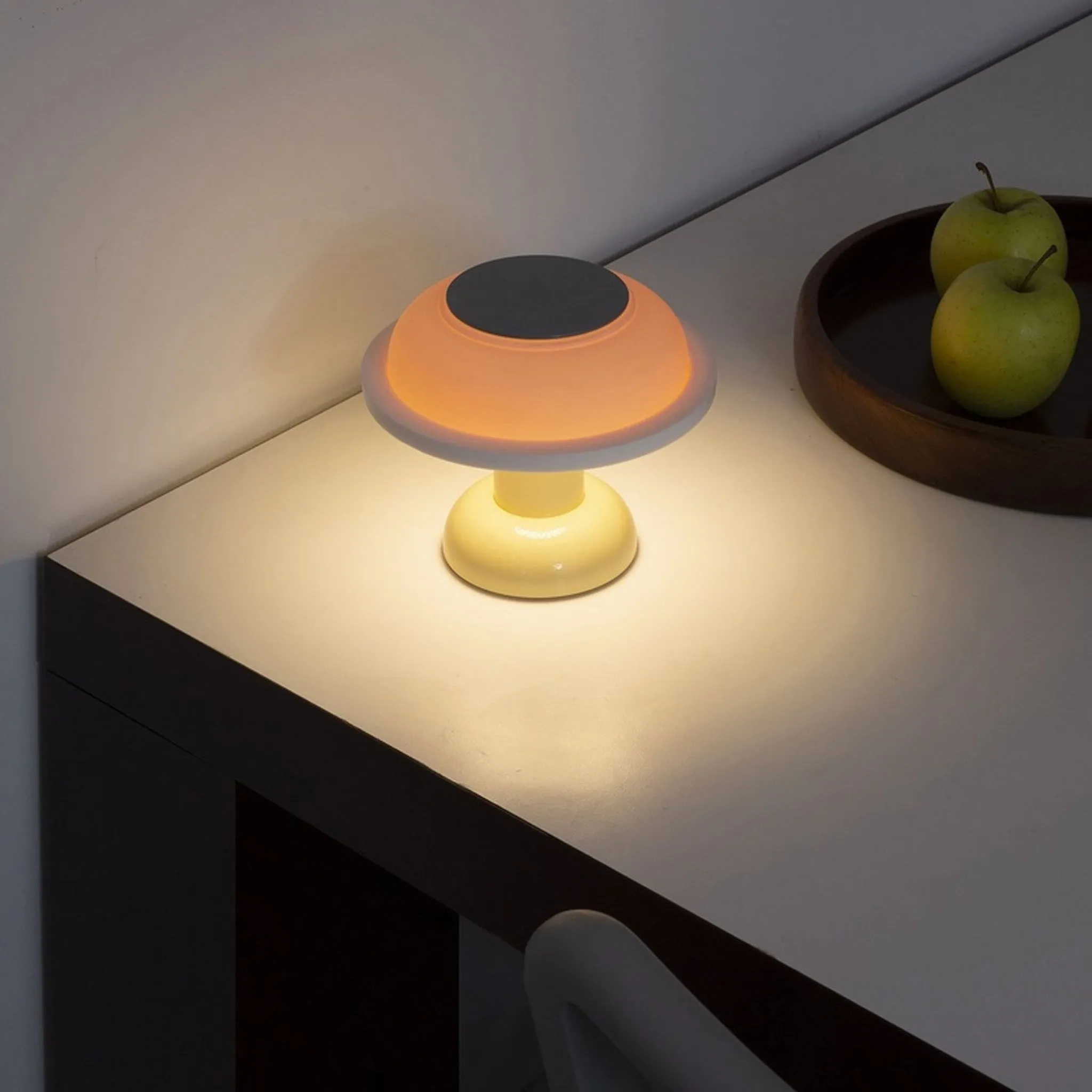 PL4 Portable Lamp