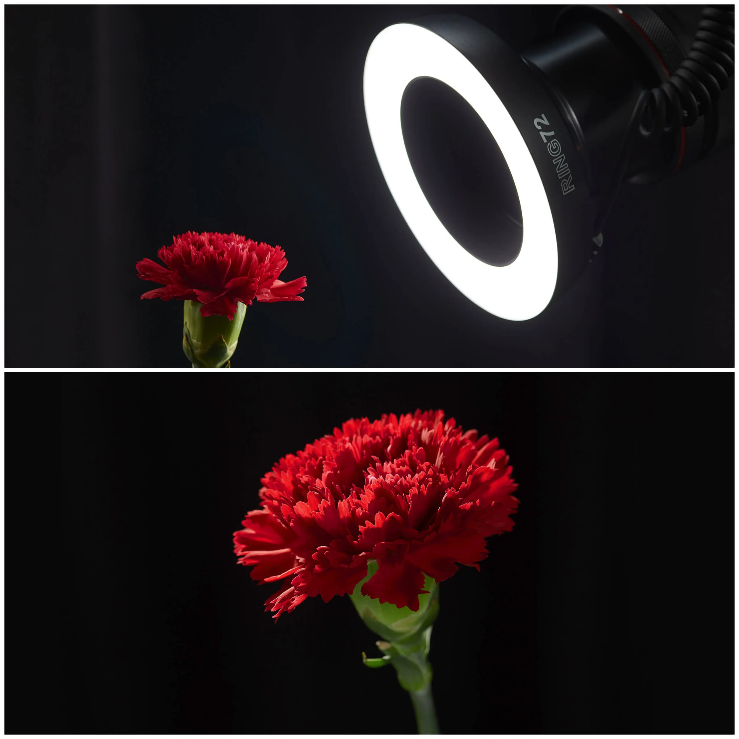 RING72 8W Daylight-Balanced LED Macro Ring Light