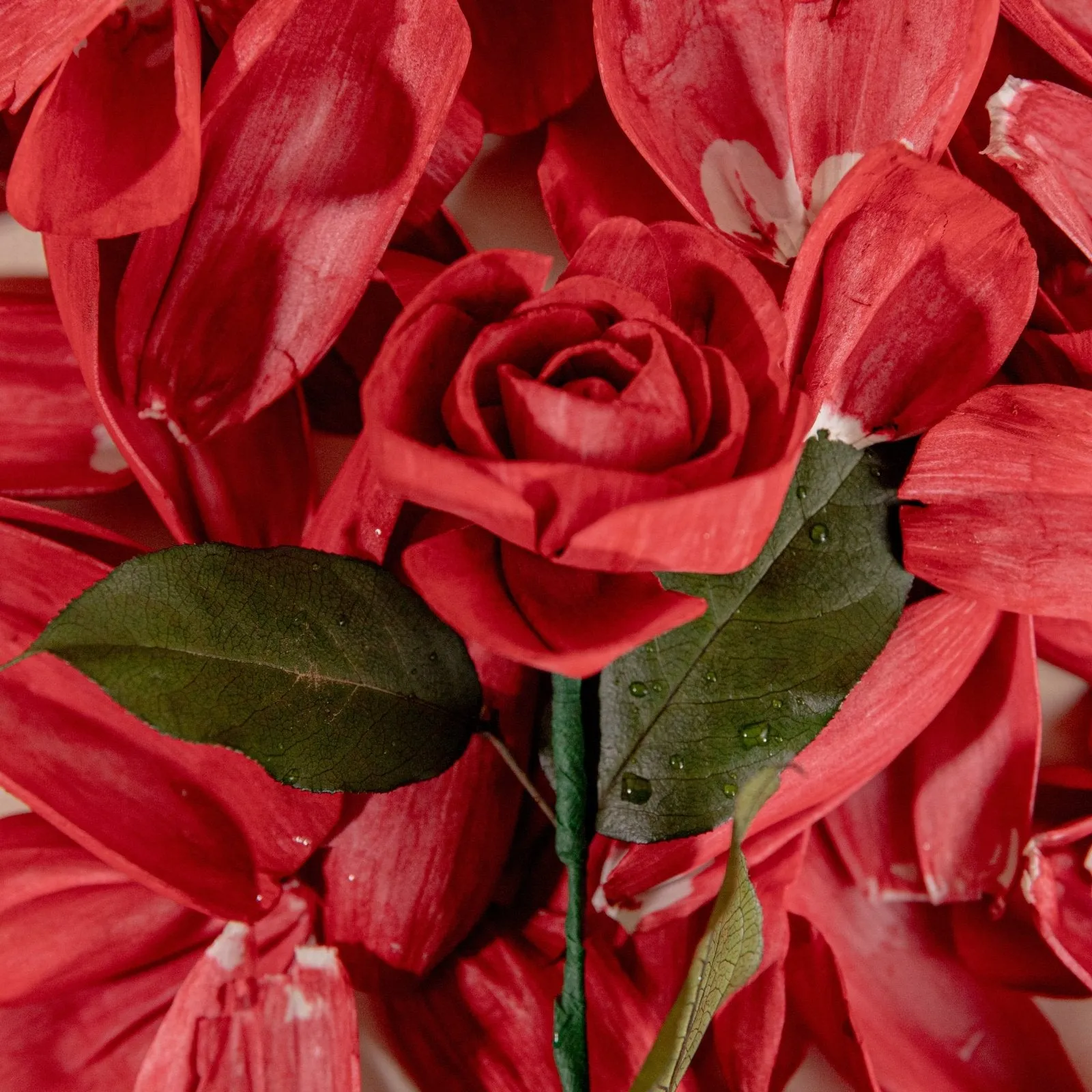 Rose Petals (40 Pack)