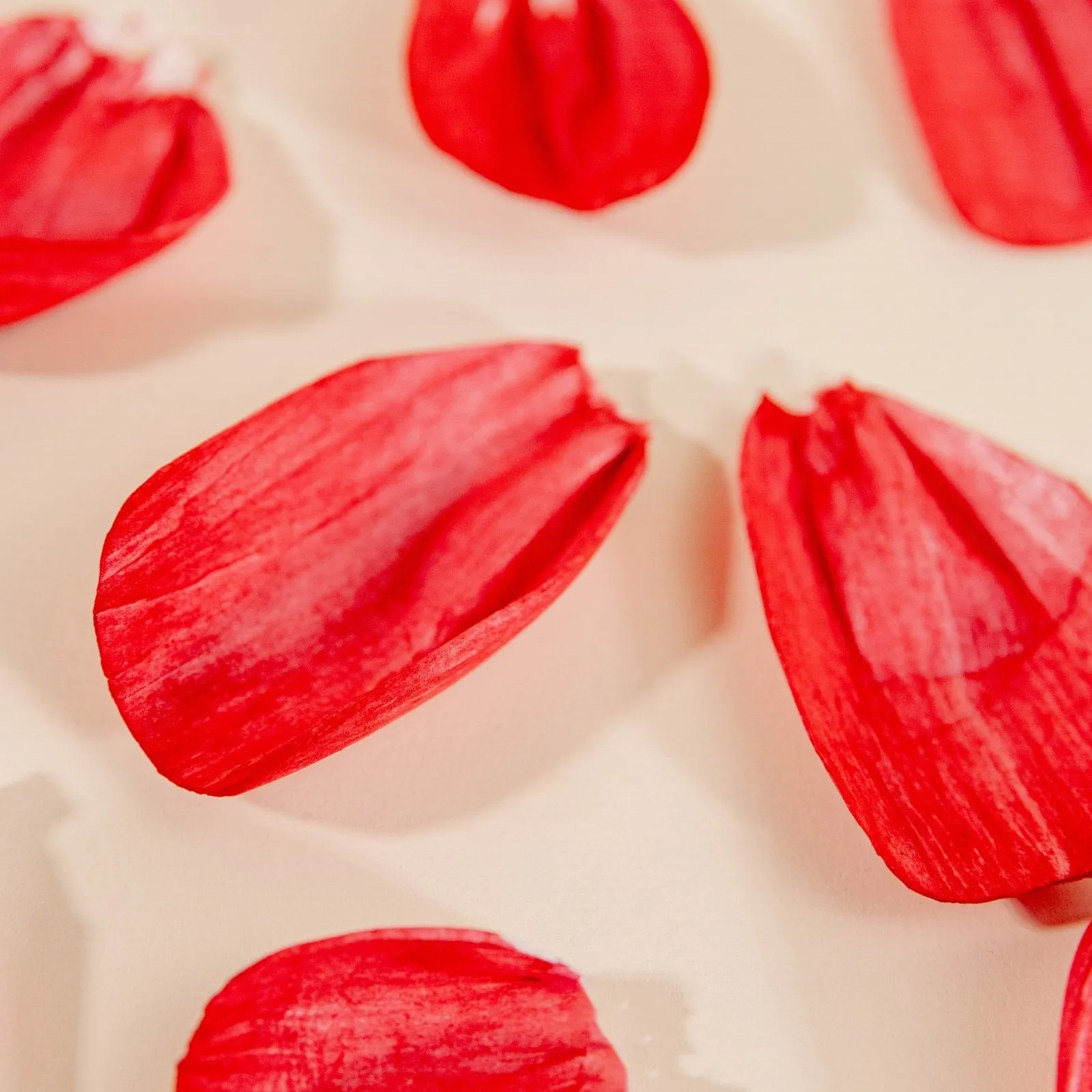 Rose Petals (40 Pack)