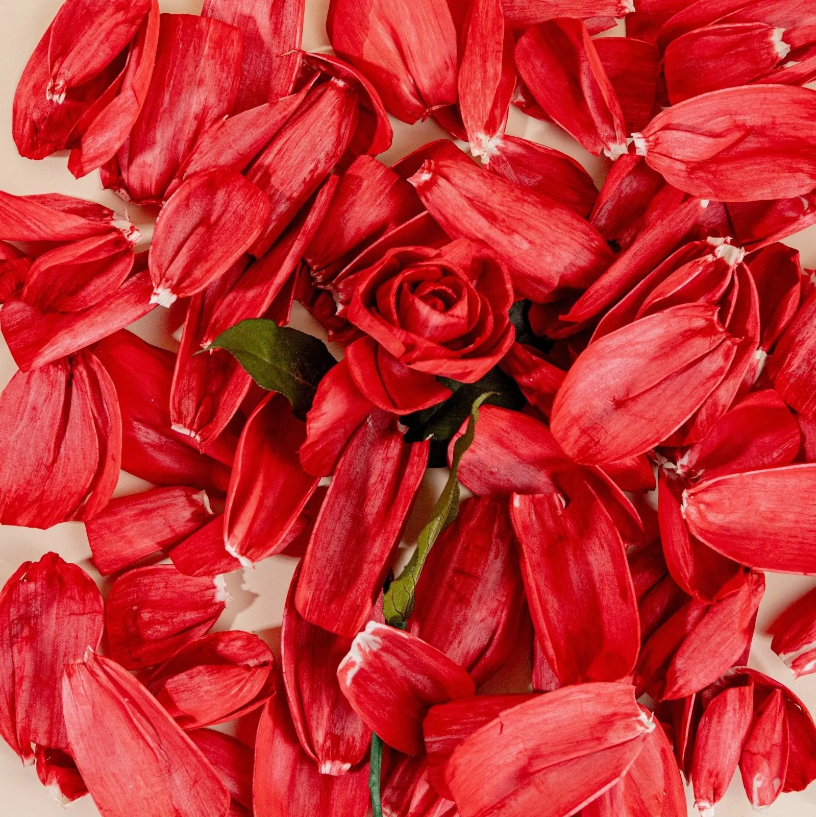 Rose Petals (40 Pack)