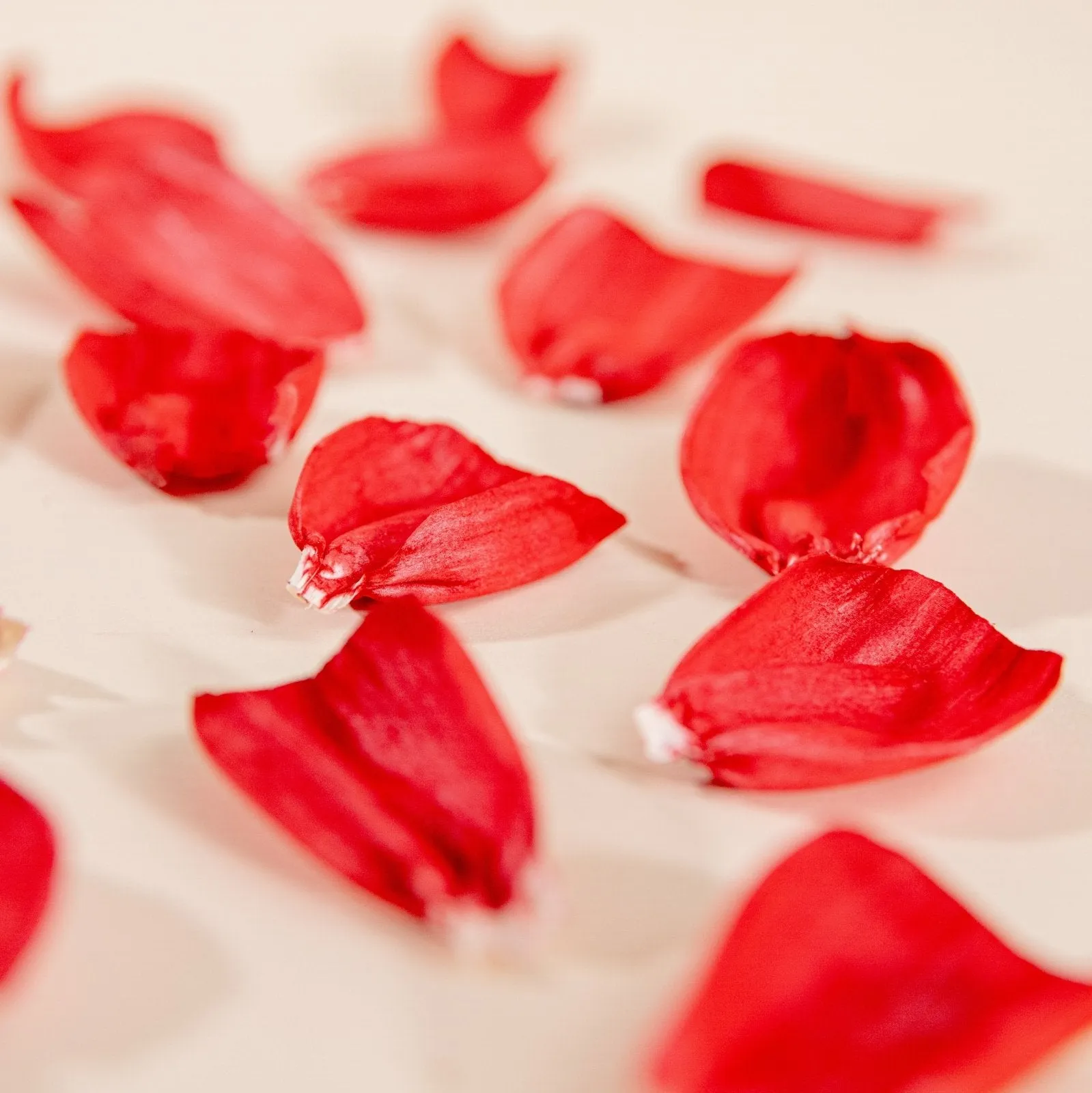 Rose Petals (40 Pack)