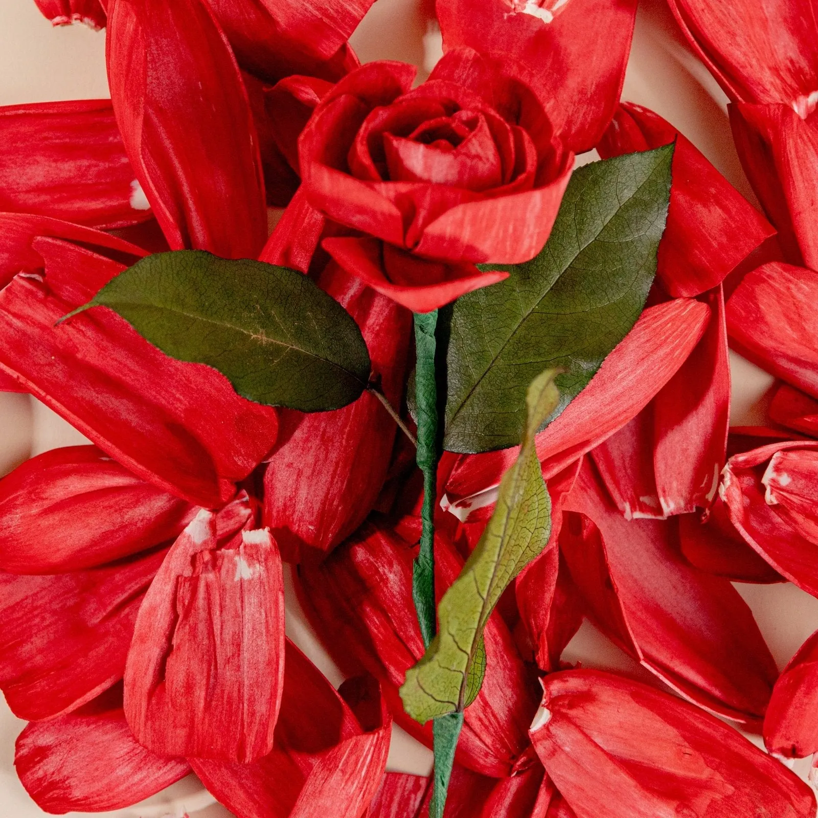 Rose Petals (40 Pack)