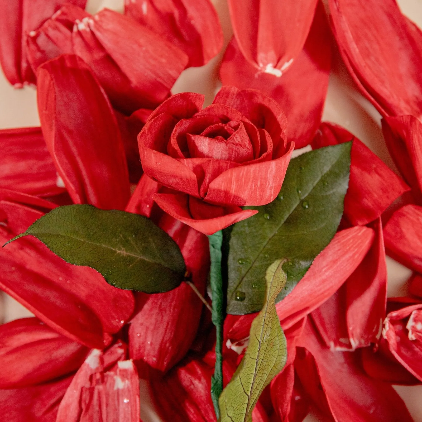 Rose Petals (40 Pack)