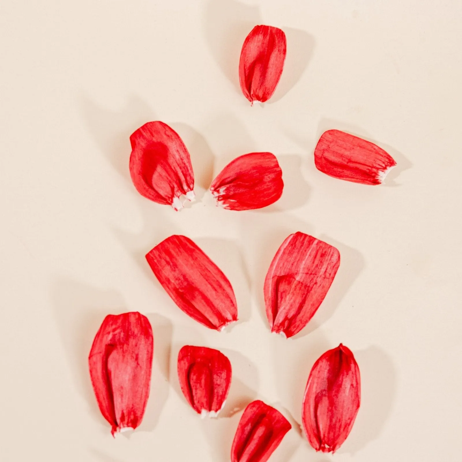 Rose Petals (40 Pack)