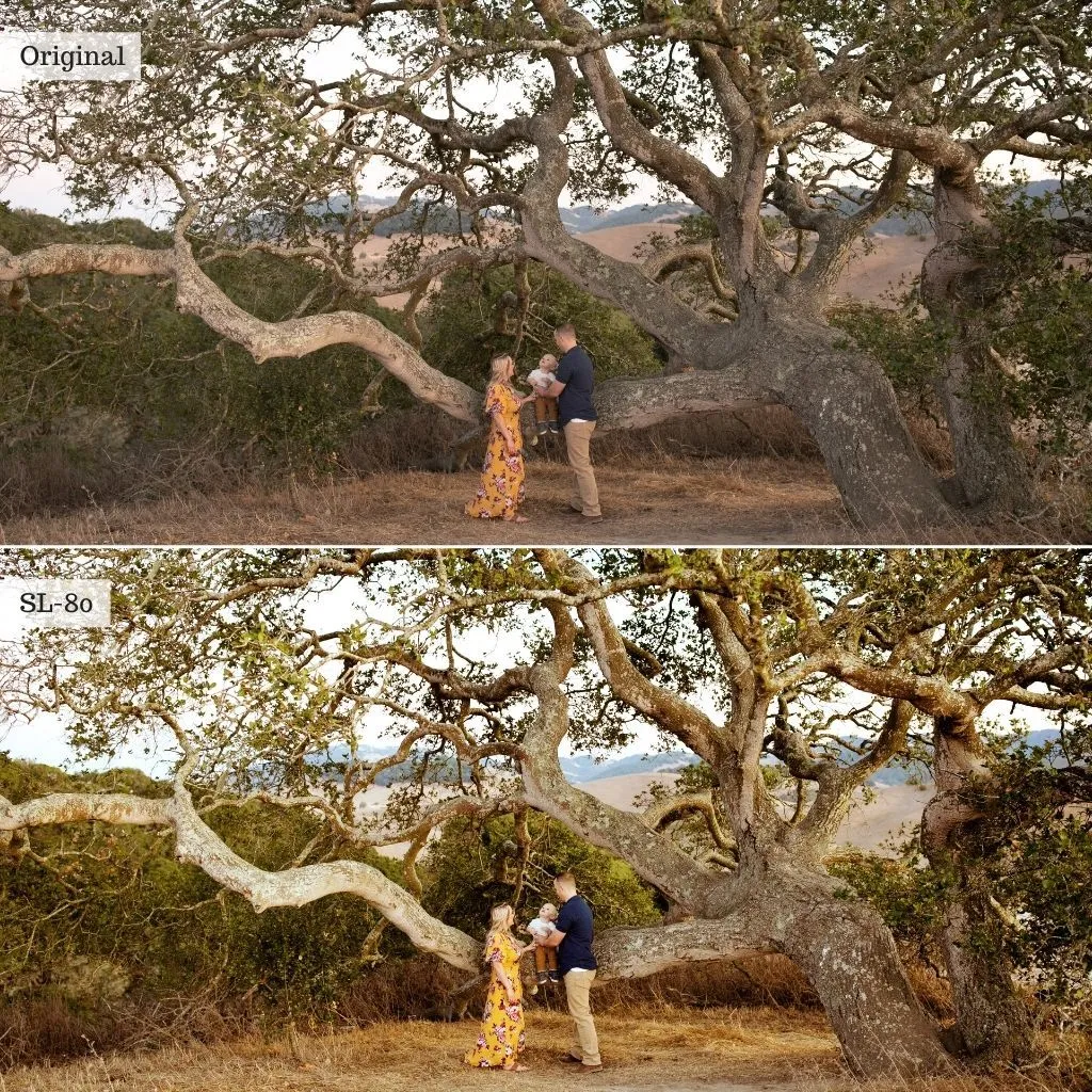Summer Light LUTS – Desktop & Mobile